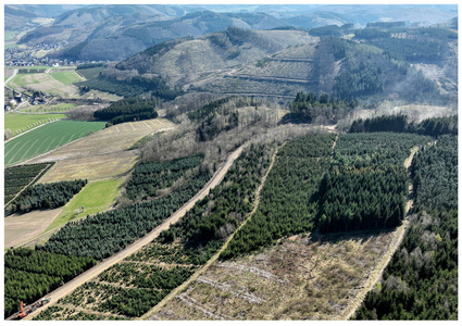 Zuwegung Trianel Windpark Sundern